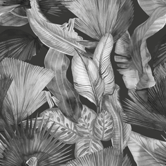 Tropical Palm Wallpaper - Huggleberry Hill