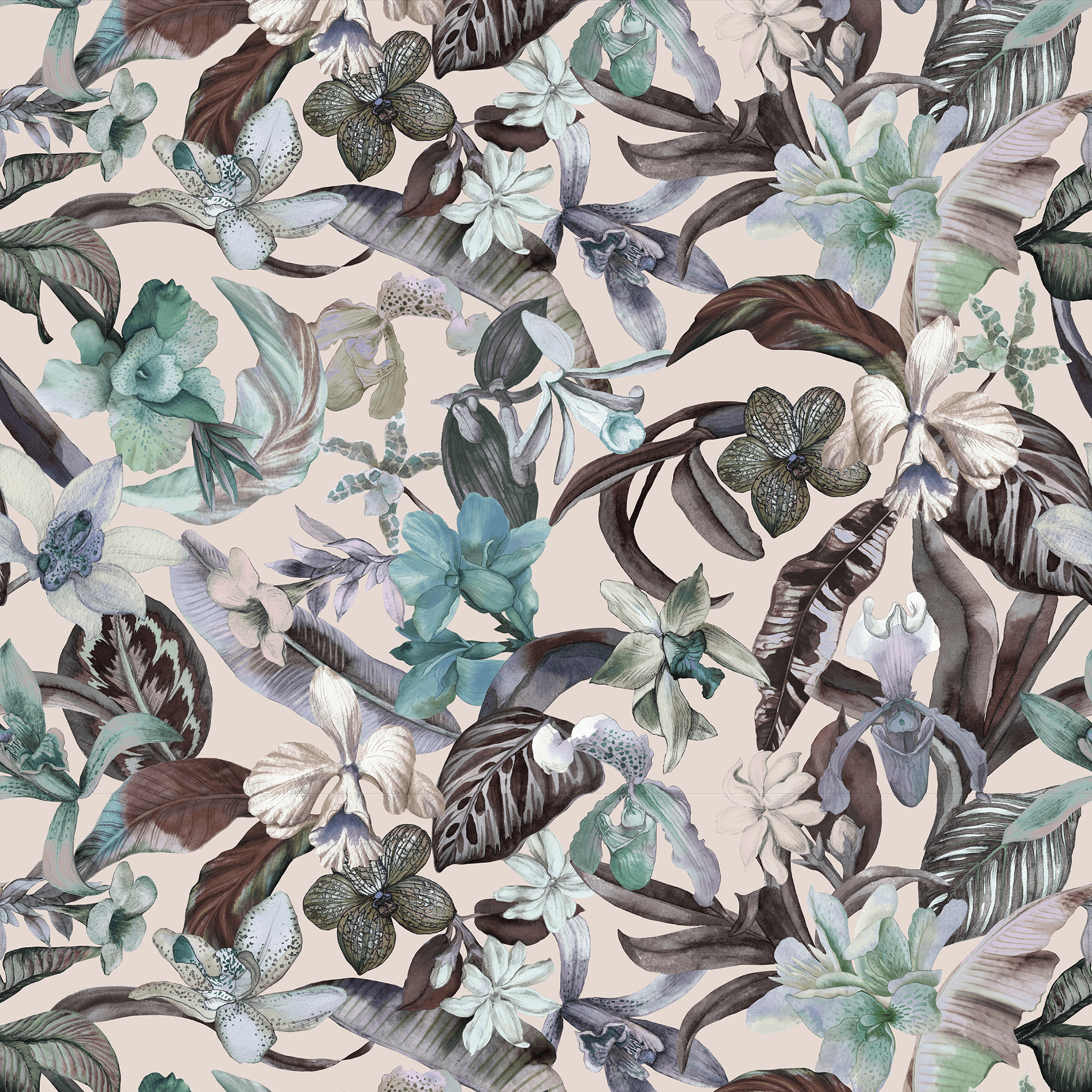 Exotic Orchid Wallpaper - Huggleberry Hill