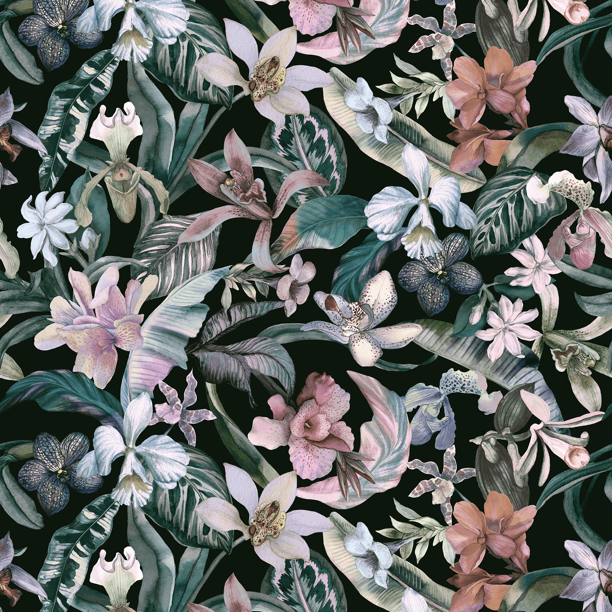 Exotic Orchid Wallpaper - Huggleberry Hill