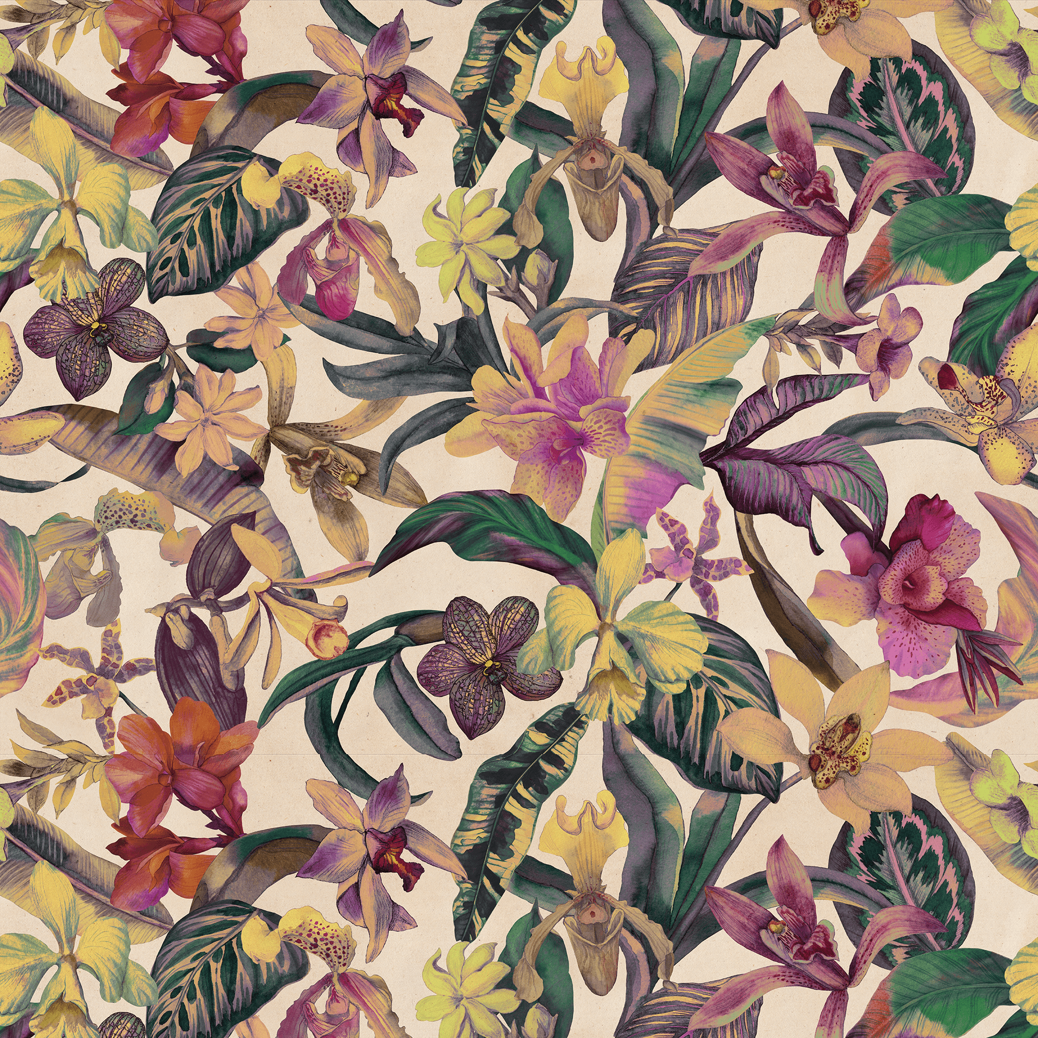 Exotic Orchid Wallpaper - Huggleberry Hill