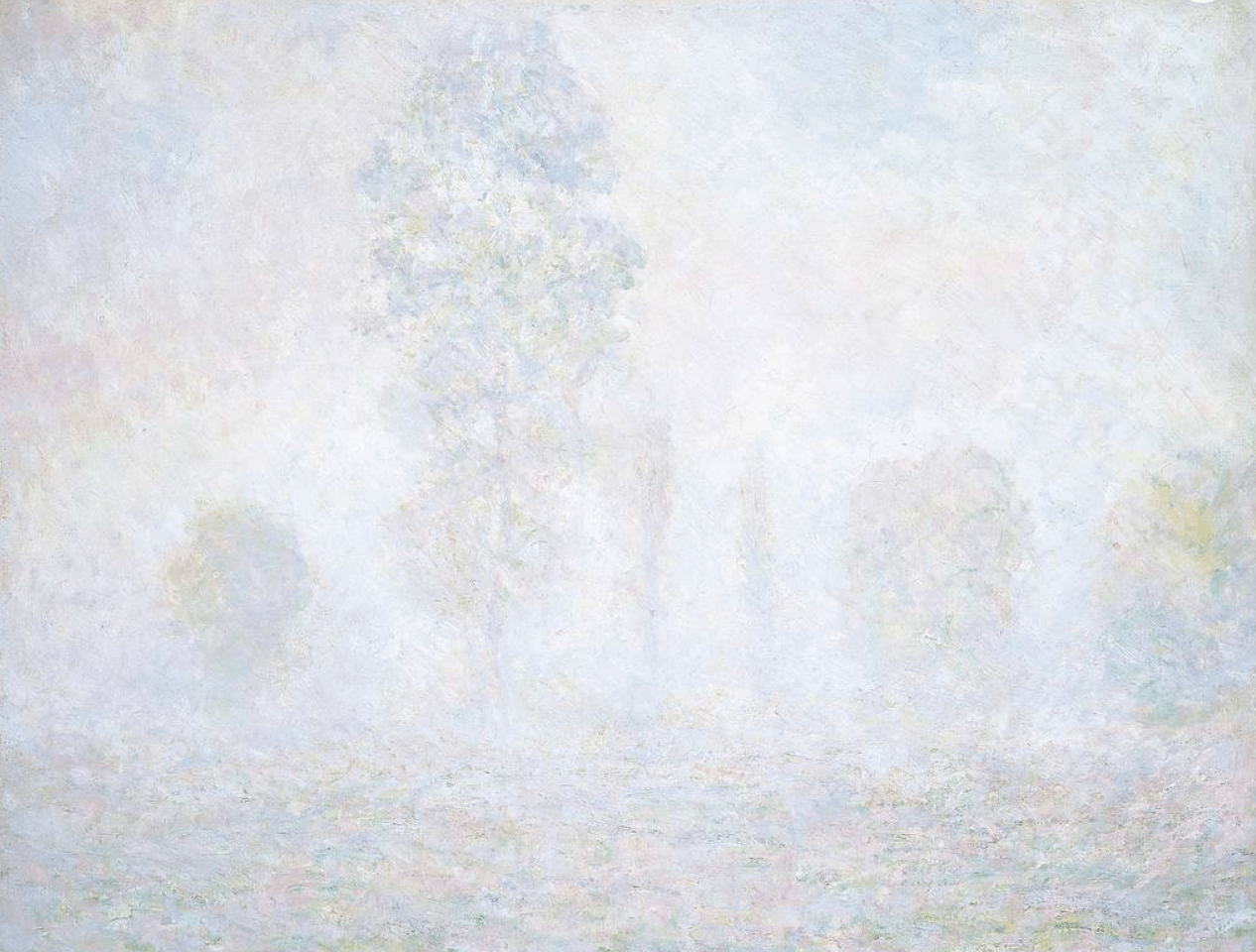 TEST - Misty Trees Landscape - Huggleberry Hill