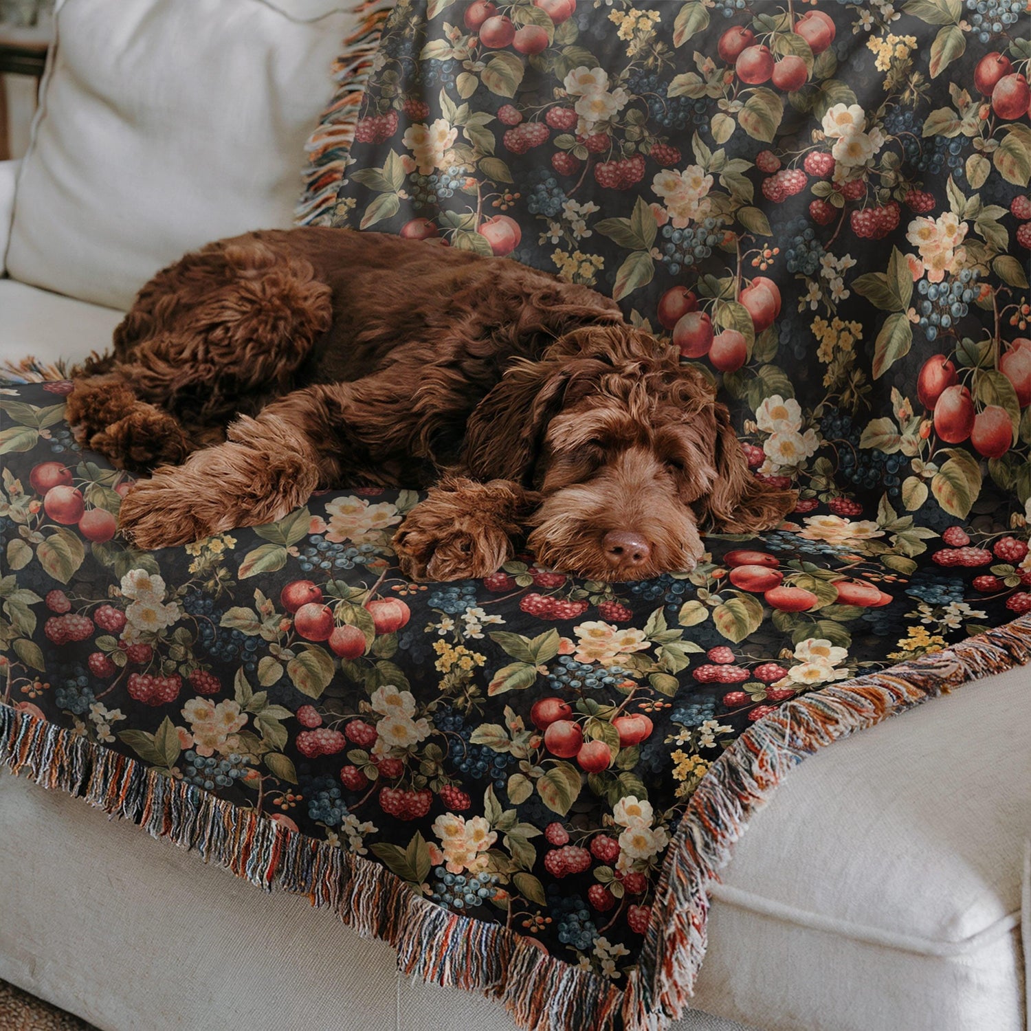 Woven Cotton Throws - Huggleberry Hill