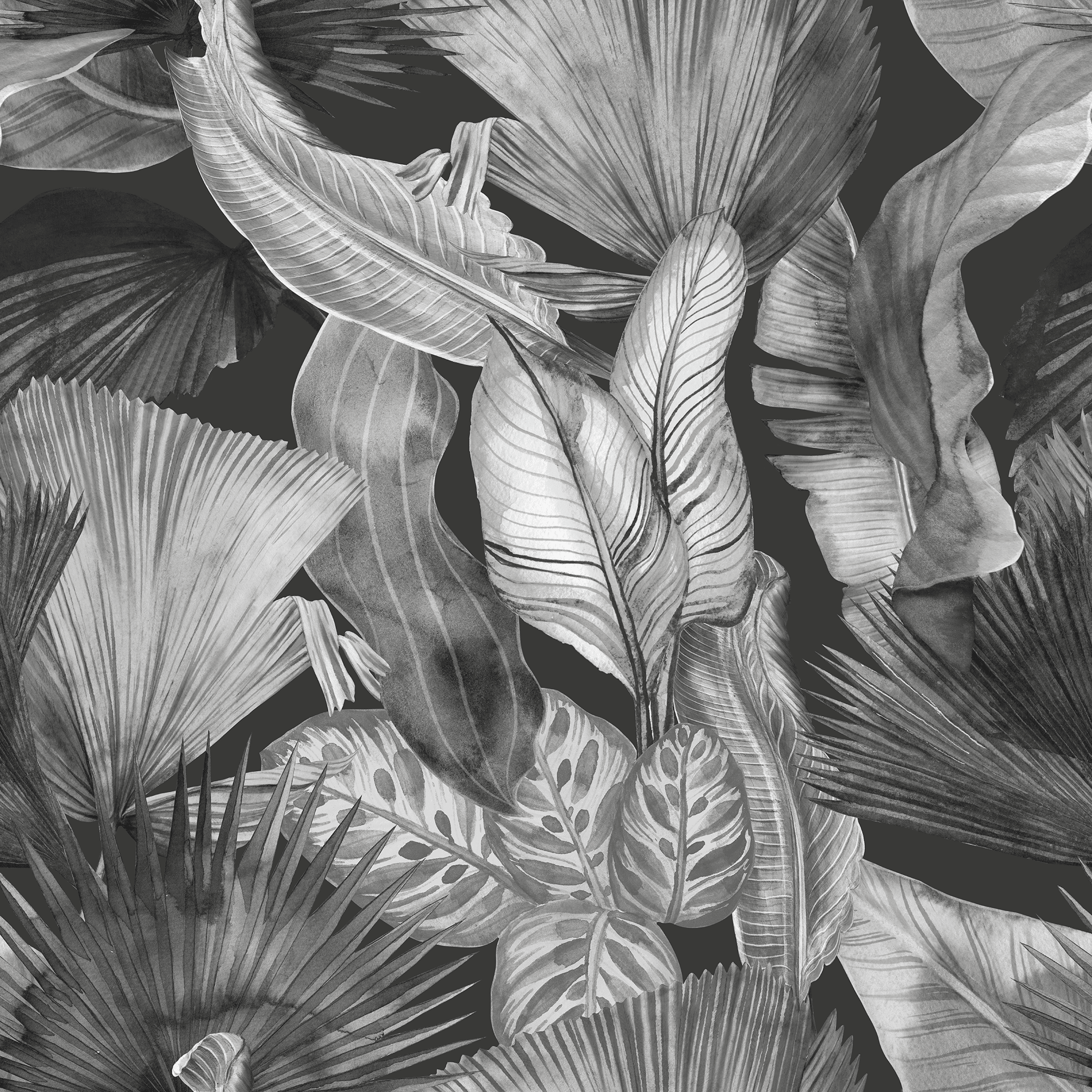 Tropical Palm Wallpaper - Huggleberry Hill