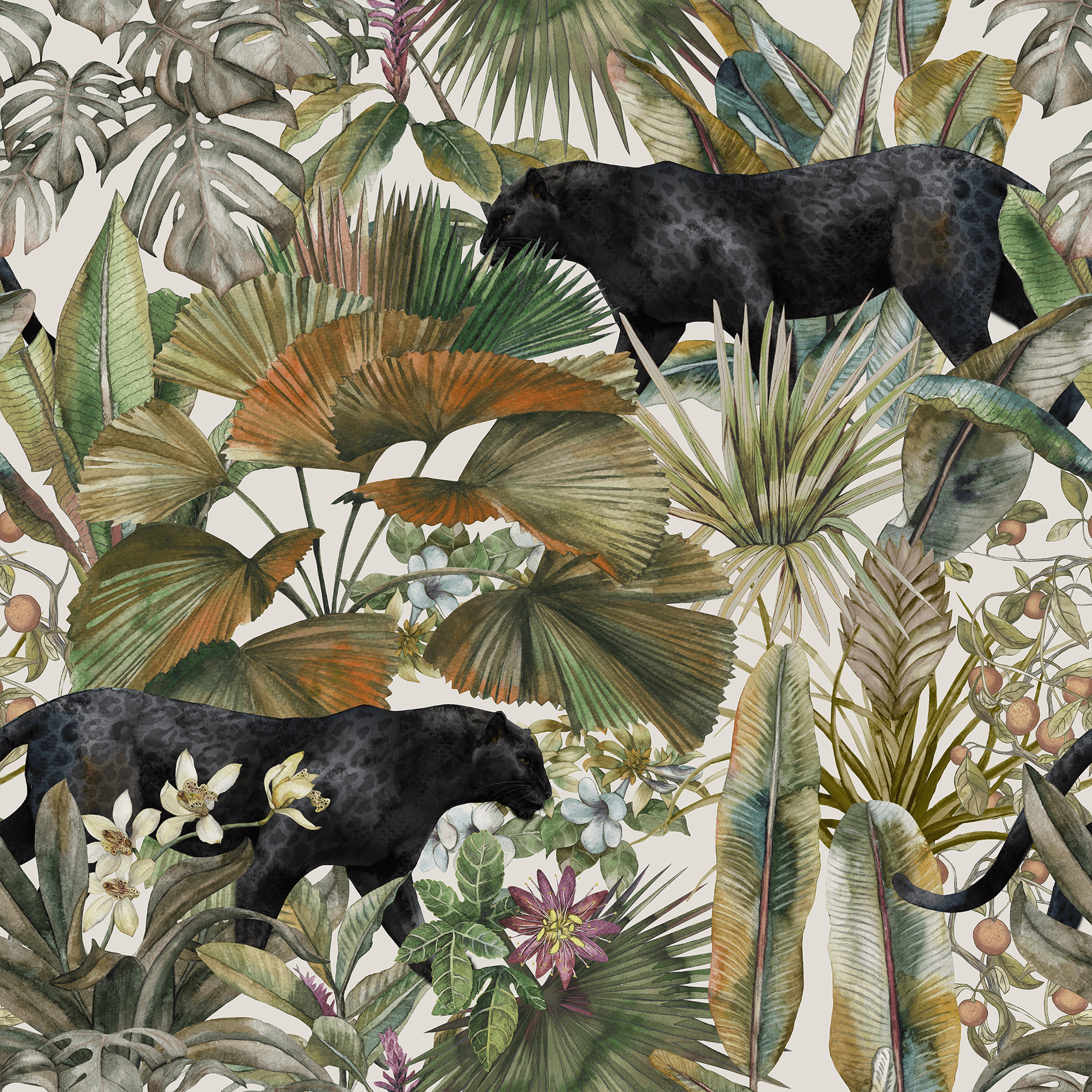 Jungle Panther Wallpaper - Huggleberry Hill