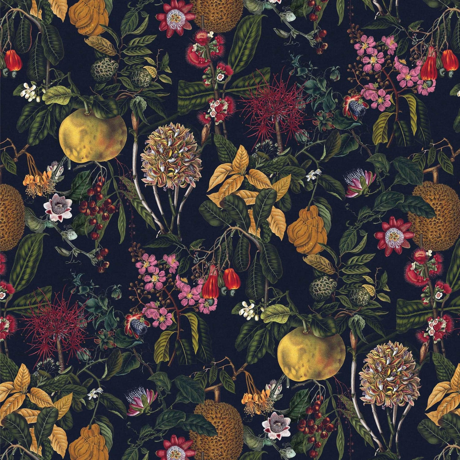 Fruity Foliage Black wallpaper sample – eco, non-toxic, matte finish – Huggleberry Hill