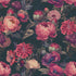 Romance Wallpaper - Huggleberry Hill